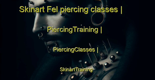 Skinart Fel piercing classes | PiercingTraining | PiercingClasses | SkinartTraining-France